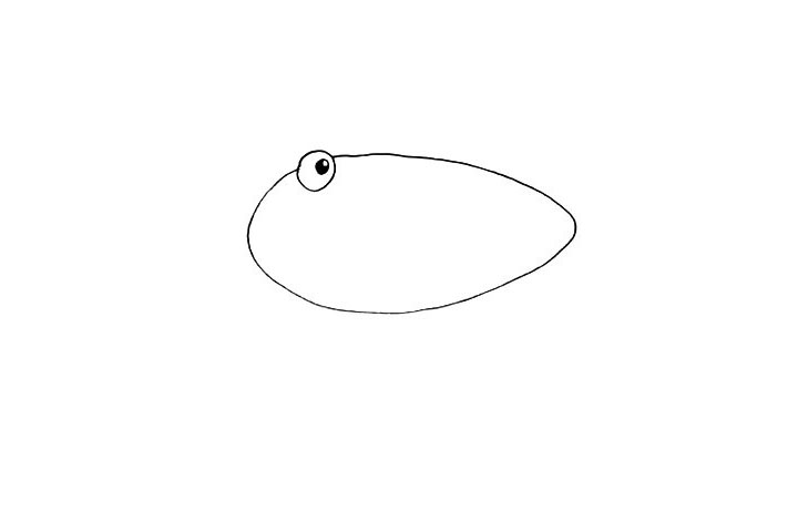 步骤2：在缺口处画上眼睛和眼珠部分。