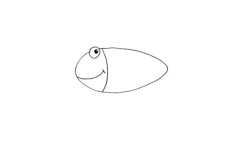 步骤4：用弧线区分开海草鱼的头部和身体。