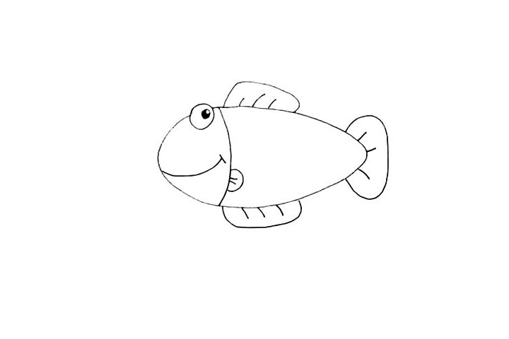 步骤7：接着画出它的尾巴.尾巴呈一个扇形。