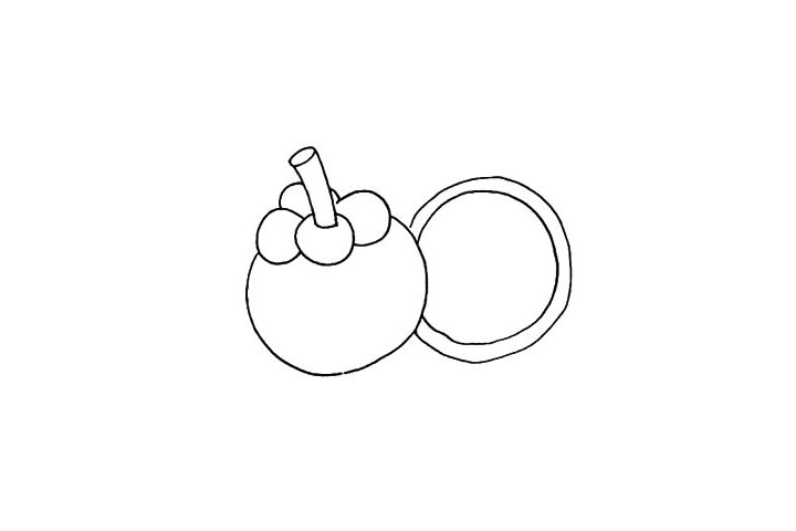 步骤4：再画上一个切开的山竹.大圆里面画上一个小圆。