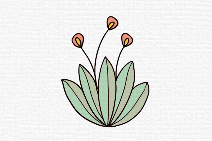 阳春三月漂亮的花朵简笔画图片-图5