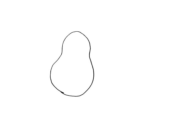 步骤2：在画出果实的另一半.也是上细下宽。