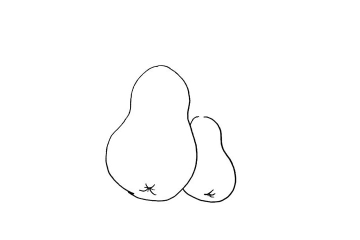 步骤5：同样用小线条描绘出小梨子底部的纹理。