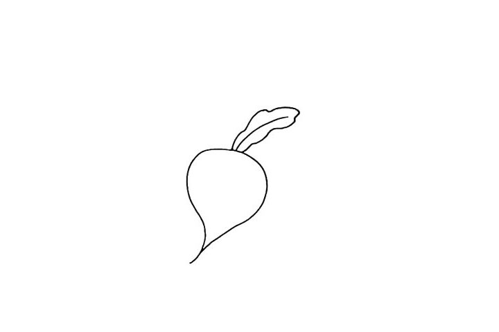 步骤2：果实的上方画上它的叶子.叶子有点微微下垂的感觉。