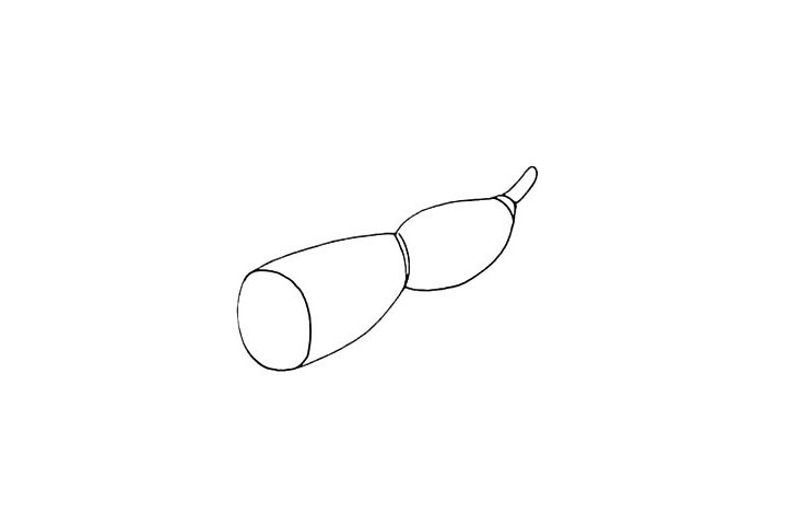 步骤4：在最后面画出一个小尾巴。