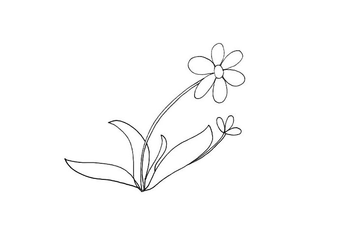 步骤6：接着在右边叶子下方画出一朵还未全部绽开的小花朵。