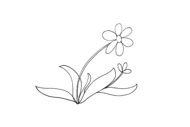 步骤7：在右边花朵下方在画出一片叶子。