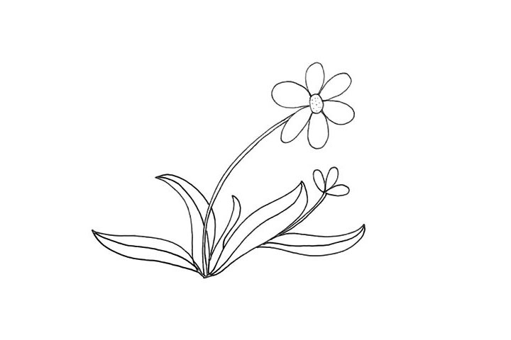 步骤8：用曲线画出叶子中间的纹理.再用点画出花蕊。