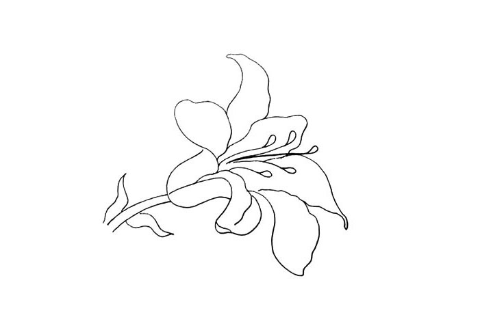 步骤9：在花朵的中间画出一个雨滴的形状是它的花蕊。