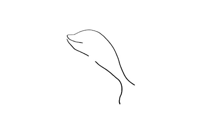 步骤3：在嘴巴的下方画出海豚的肚皮.中间要留个缺口。