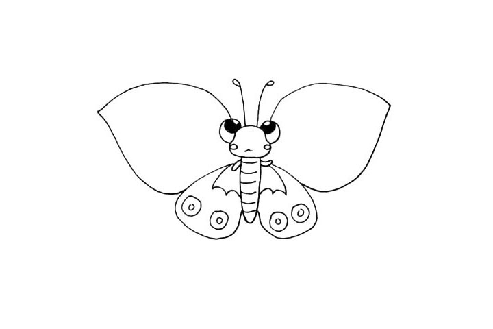 步骤14：在画出上面的翅膀.上半部分要画得饱满一些。