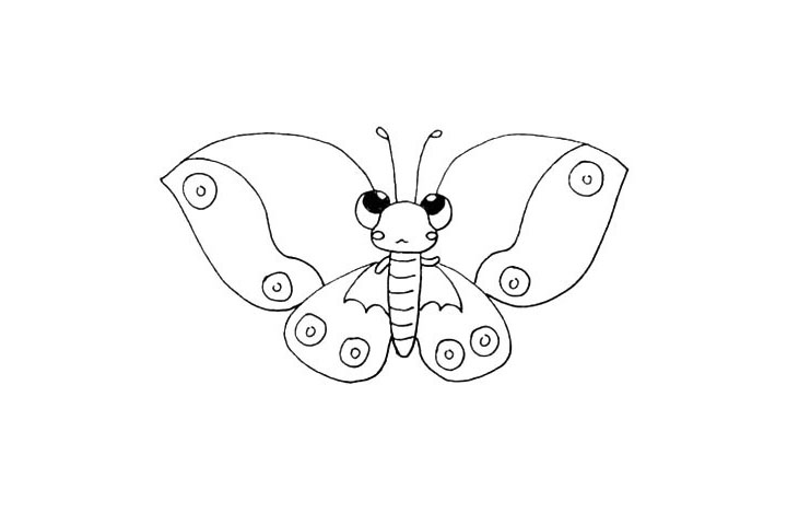 步骤15：同样画出翅膀上的花纹.是波浪线和圆圈组成的。