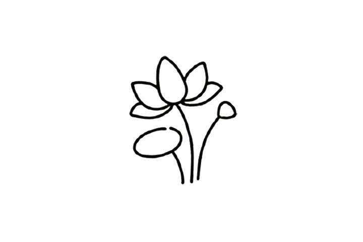 可爱小花荷花简笔画教程-图4