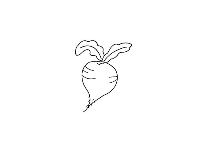 步骤4：然后在给果实加上一些条纹点缀一下.小尾巴上加上一点根须.