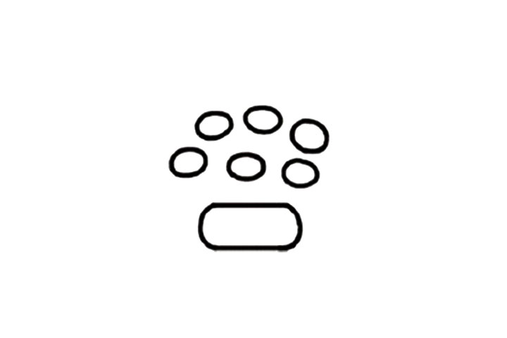 铜钱草简笔画教程-图3