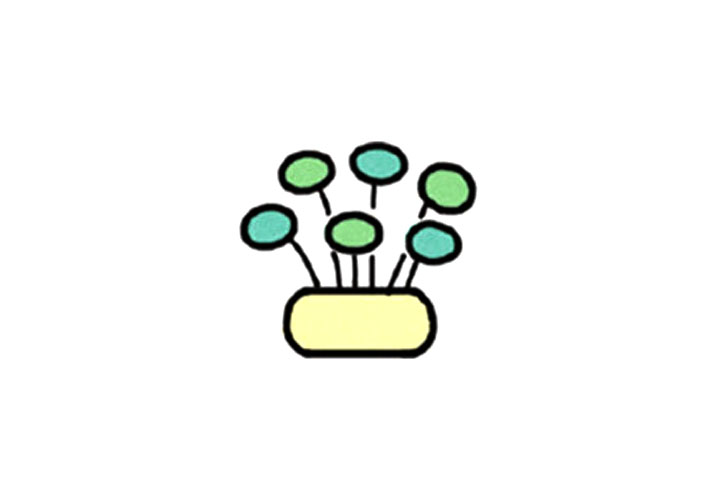 铜钱草简笔画教程