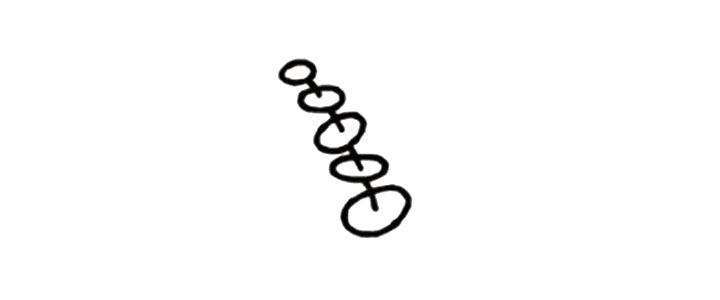 尤加利简笔画教程-图3