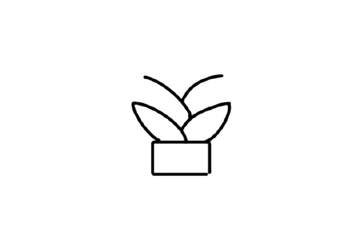 芦荟简笔画教程-图4