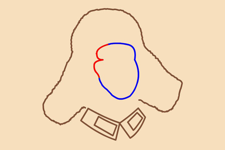 步骤4：两根弧线，变变变，变成一对3。