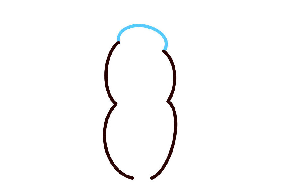 步骤3：画一个弧线把顶端连接起来。