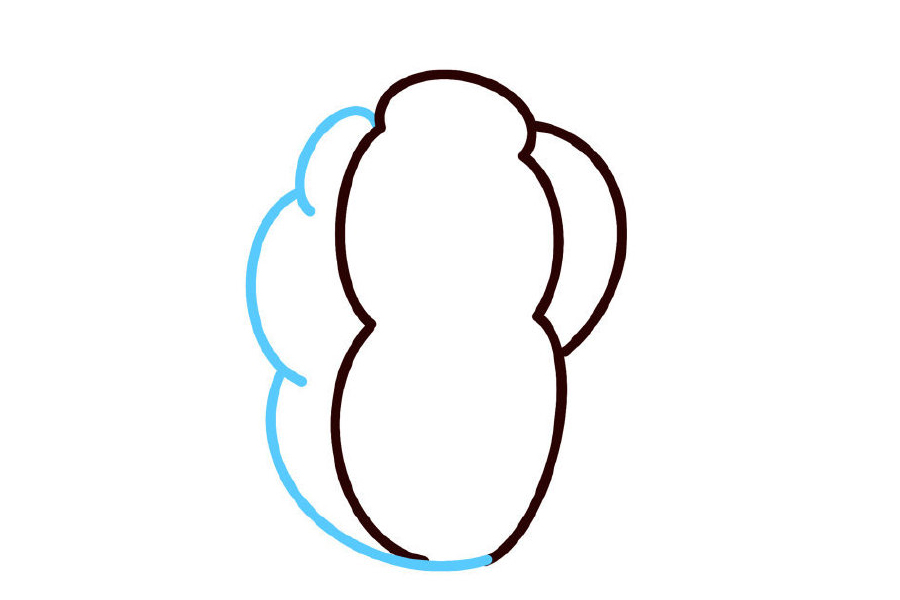 步骤5：左边画三个波浪线。