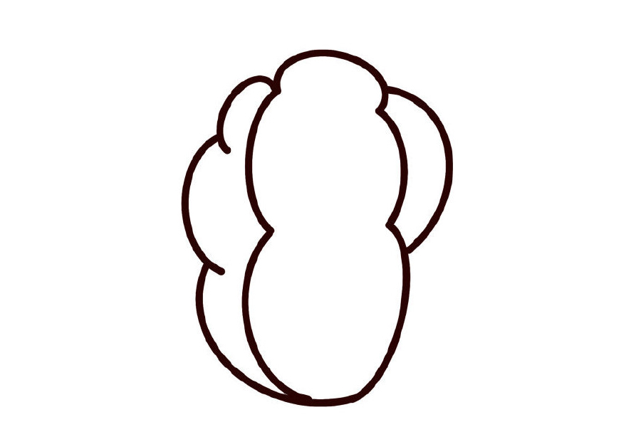 步骤6：线稿完成了。