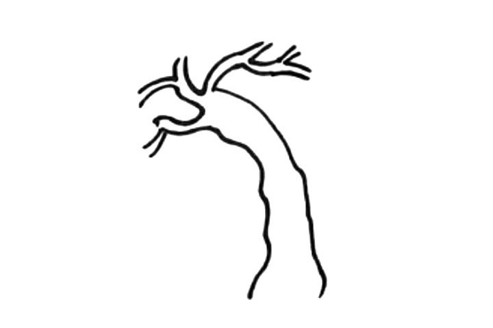 步骤2：接着画树干上的树杈。