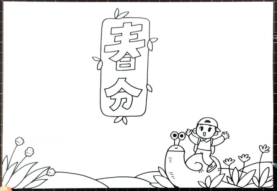 简单漂亮的春分手抄报图片-图3