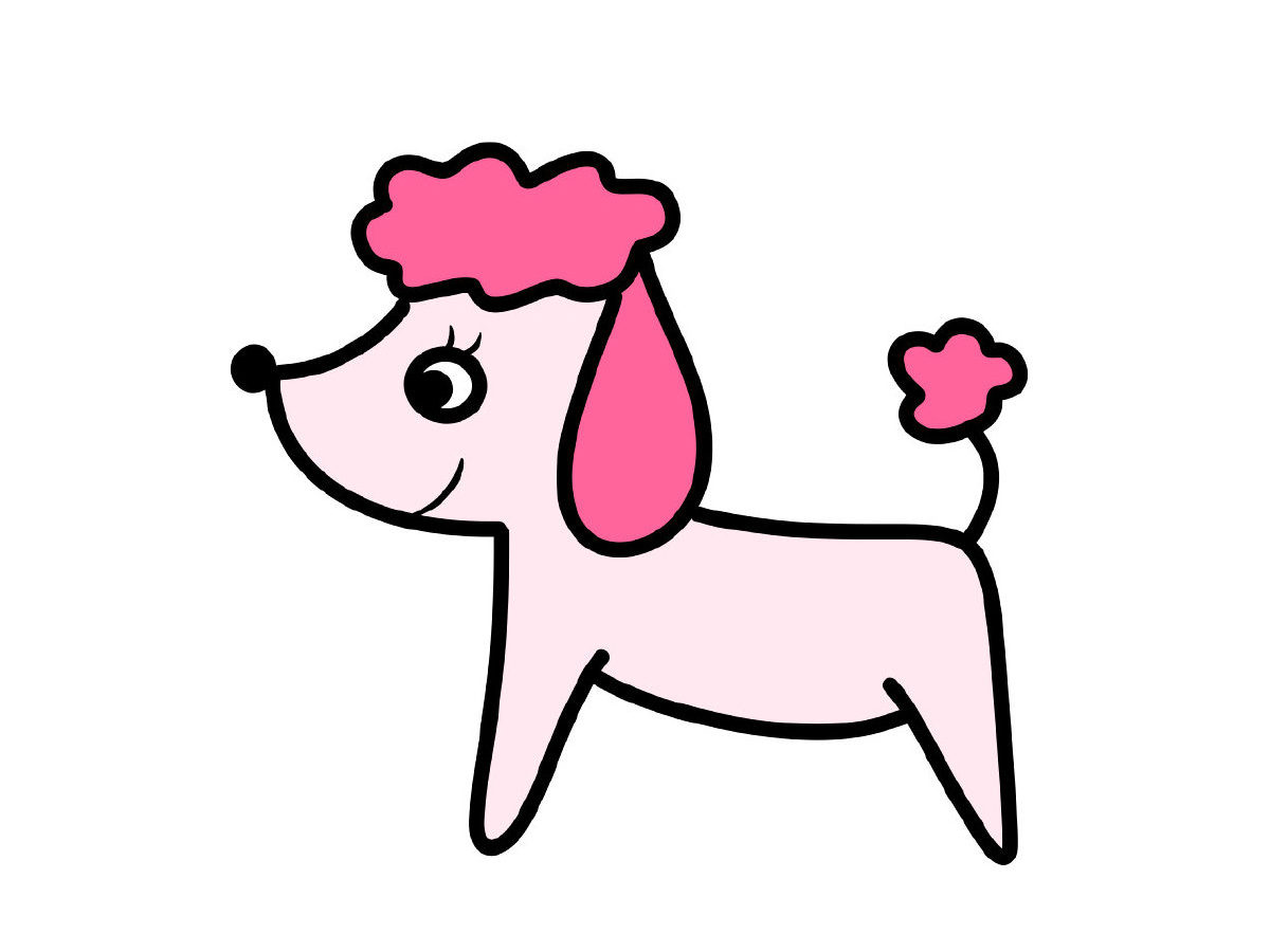 可爱贵宾犬简笔画画法教程-图9