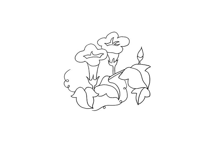 步骤7：用曲线画出牵牛花的藤蔓。