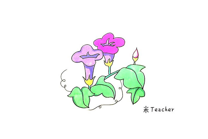 牵牛花简笔画画法步骤