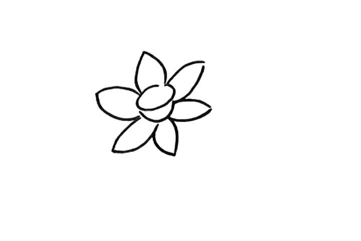 步骤2：接着画花瓣。