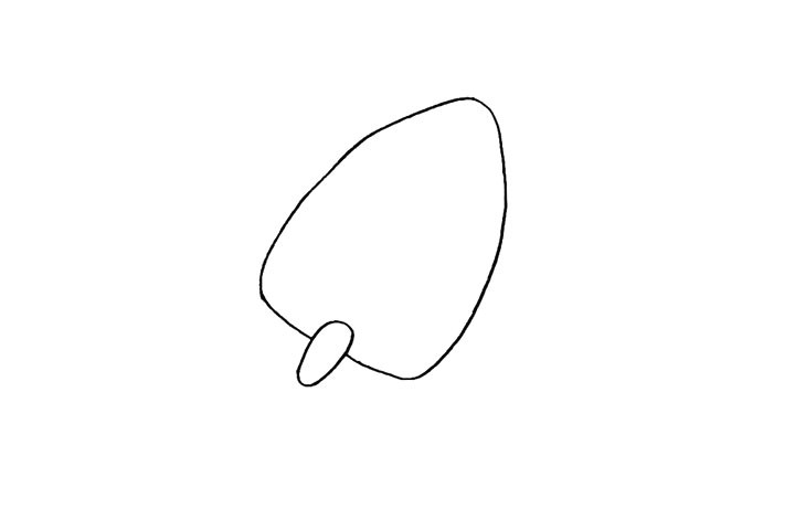 步骤2：在缺口处画一个较长的椭圆。