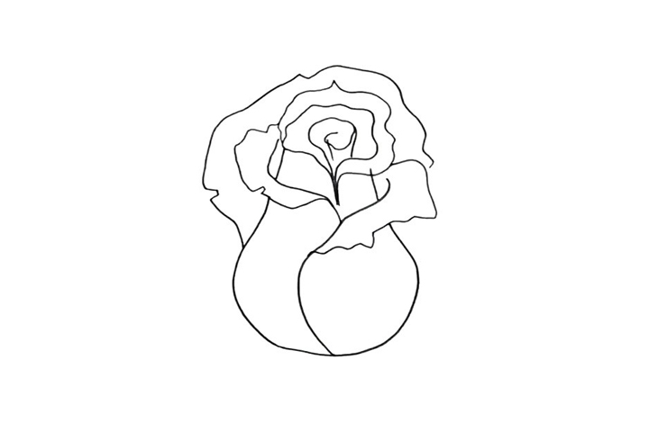 步骤2：再画出花朵的外花瓣。