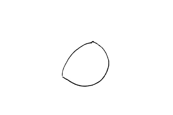 步骤1：先画上一条弧线和半个椭圆形。