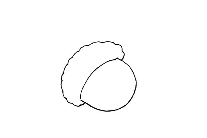 步骤2：上面用小波浪线画出一个帽子一个样的盖子。