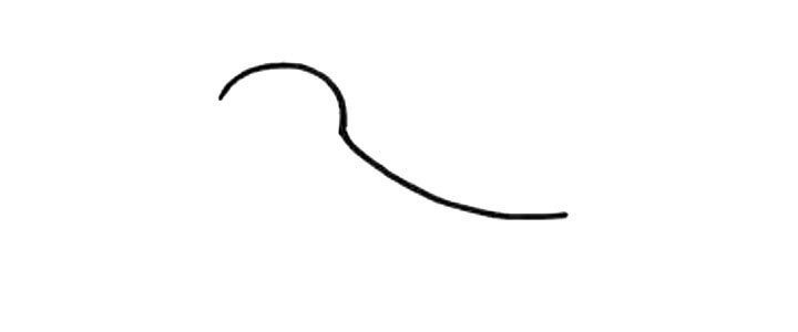 步骤1：画头部和身体轮廓。