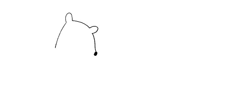 步骤1：首先画出北极熊的头部.注意耳朵和鼻子的位置。