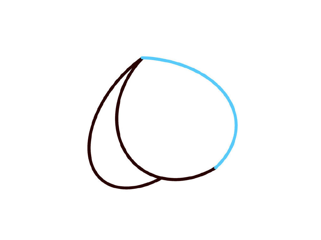 步骤3：画右弧线连接起来。