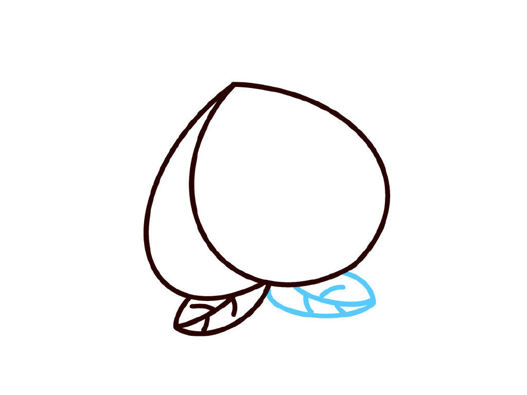 步骤5：画右边的叶子。