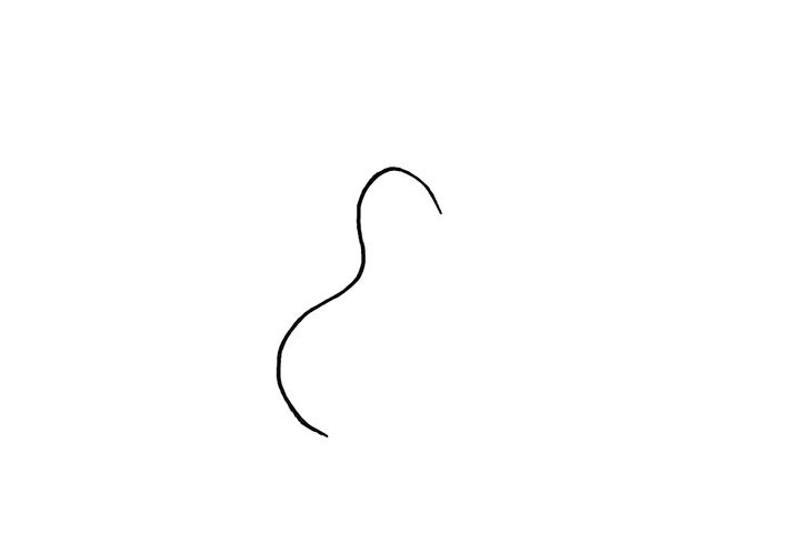步骤1：首先画一条不规则的曲线.注意线条的变形。