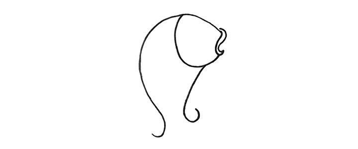 步骤2：画出它的头部和嘴巴.注意线条的变化。