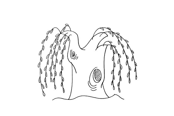 步骤8：接着在枝条的两边画上叶子.注意位置和距离。