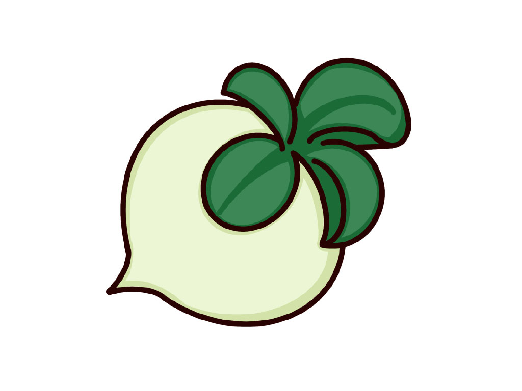 大头菜简笔画教程