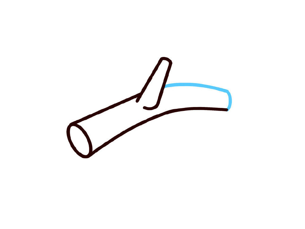 步骤4：把树干连起来。