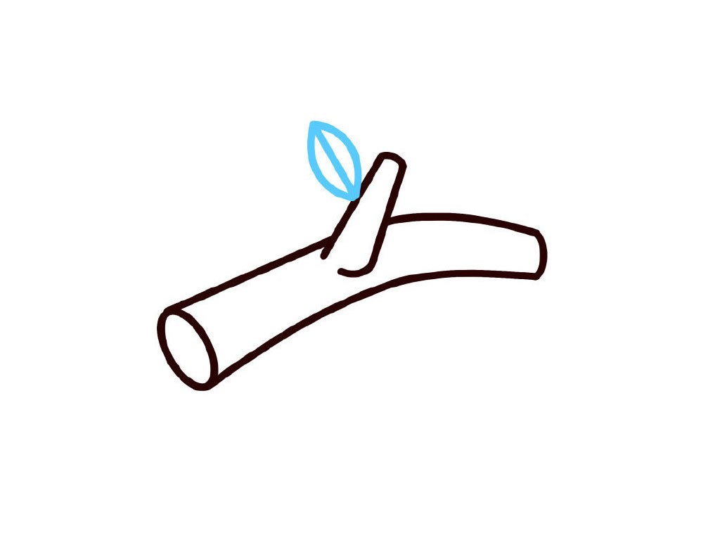 步骤5：画一片树叶。