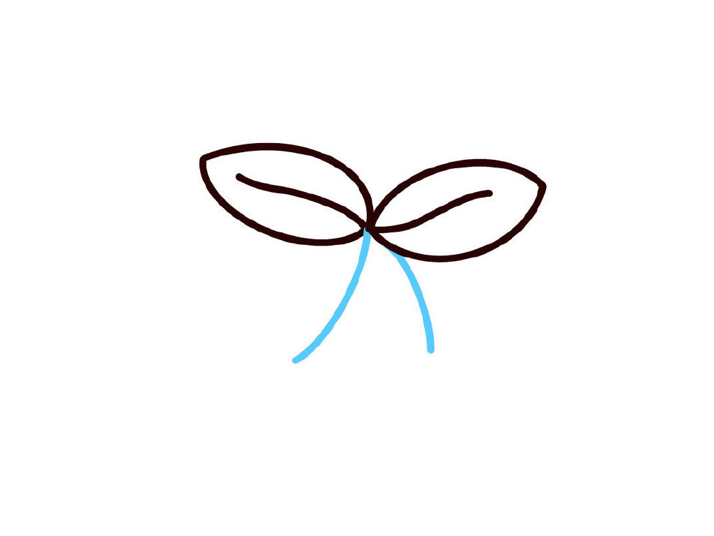 步骤3：画树干。