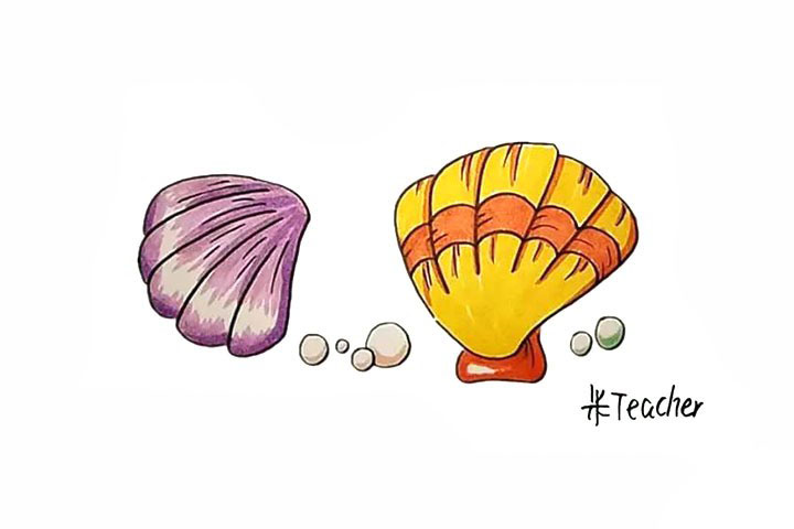 漂亮的贝壳简笔画教程