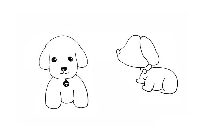 步骤18：以及狗狗向前行走着的前腿。