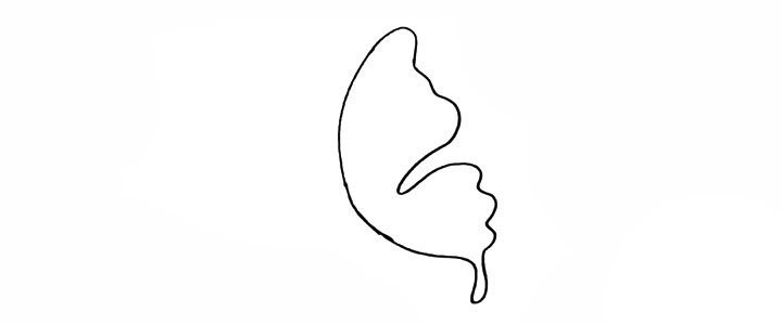 步骤2：用曲线连接弧线.这是蝴蝶的翅膀。